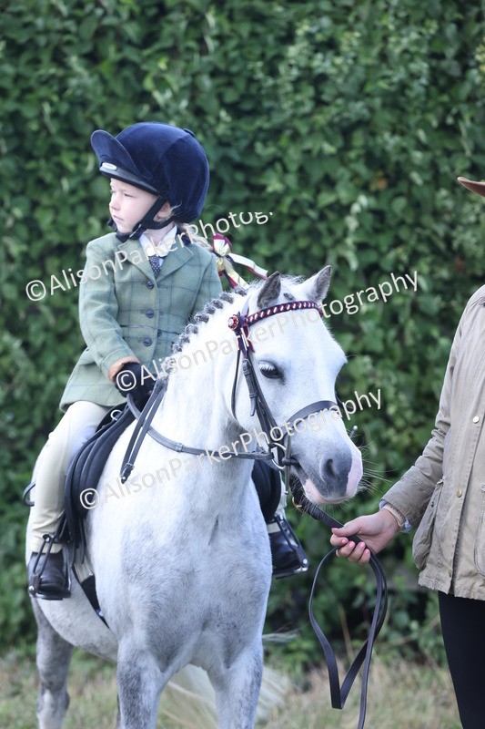 20250831-2703 - Class 17 - Lead Rein Pony