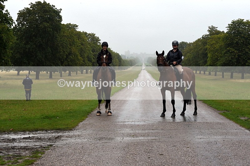 TT3_8379 - Time at Crossing 10:16 to 11:38