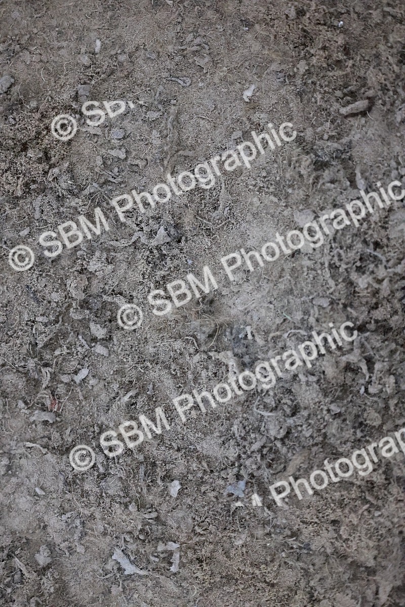 SBM_005627 - Evening Performance