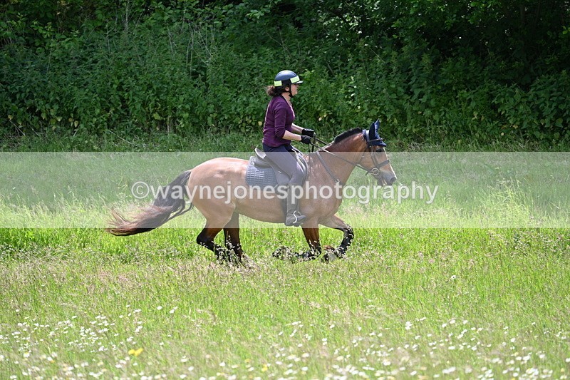 WJ7_8840 - Group 4 11am