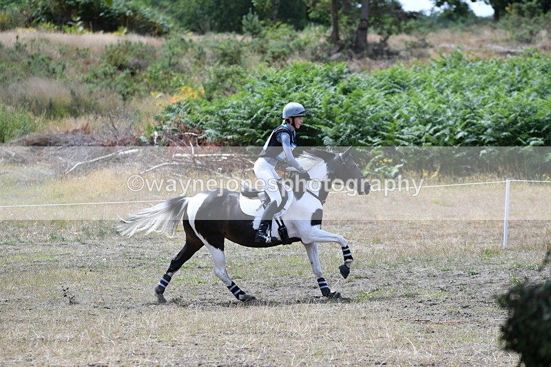 WJ5_0118 - Time 12:30 to 13:00