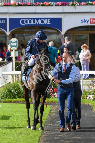 250823-Race 6-Battle Cry-1068 - Race 6 4.45pm British EBF 40th Anniversary Convivial Maiden Stakes