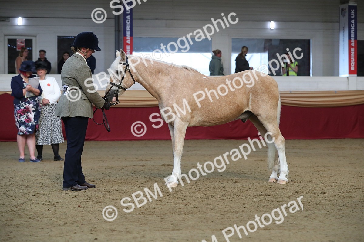 SBM_00299 - Class 1a - Area IH Diamond