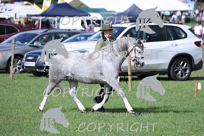 APP_3012 - Class 10a/b M&M in hand