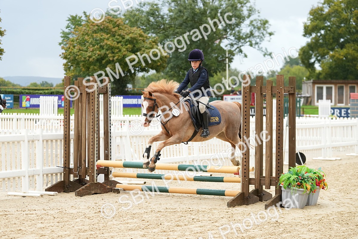 SBM_33404 - J5 - Junior Pony 50cm Championship