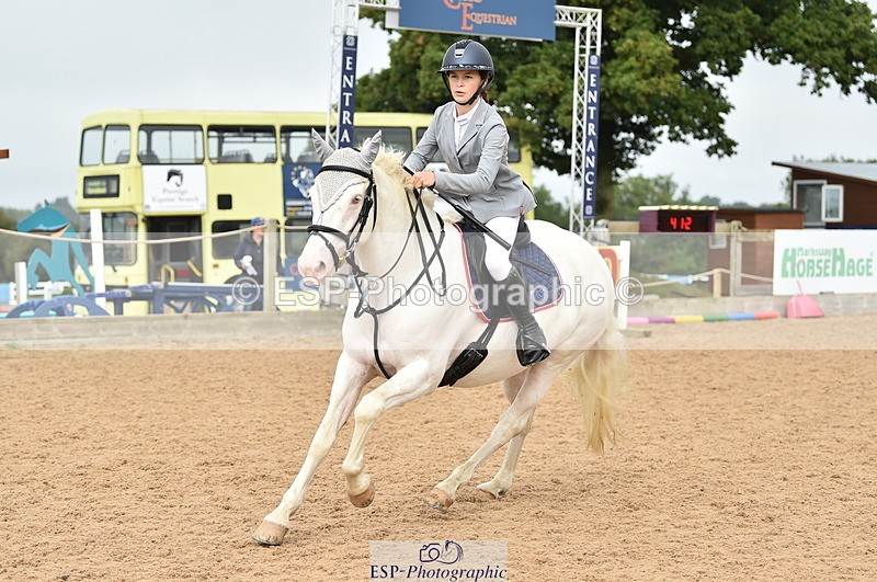 230902A-112508-00709 - Cls 2B Pony Small 80cm