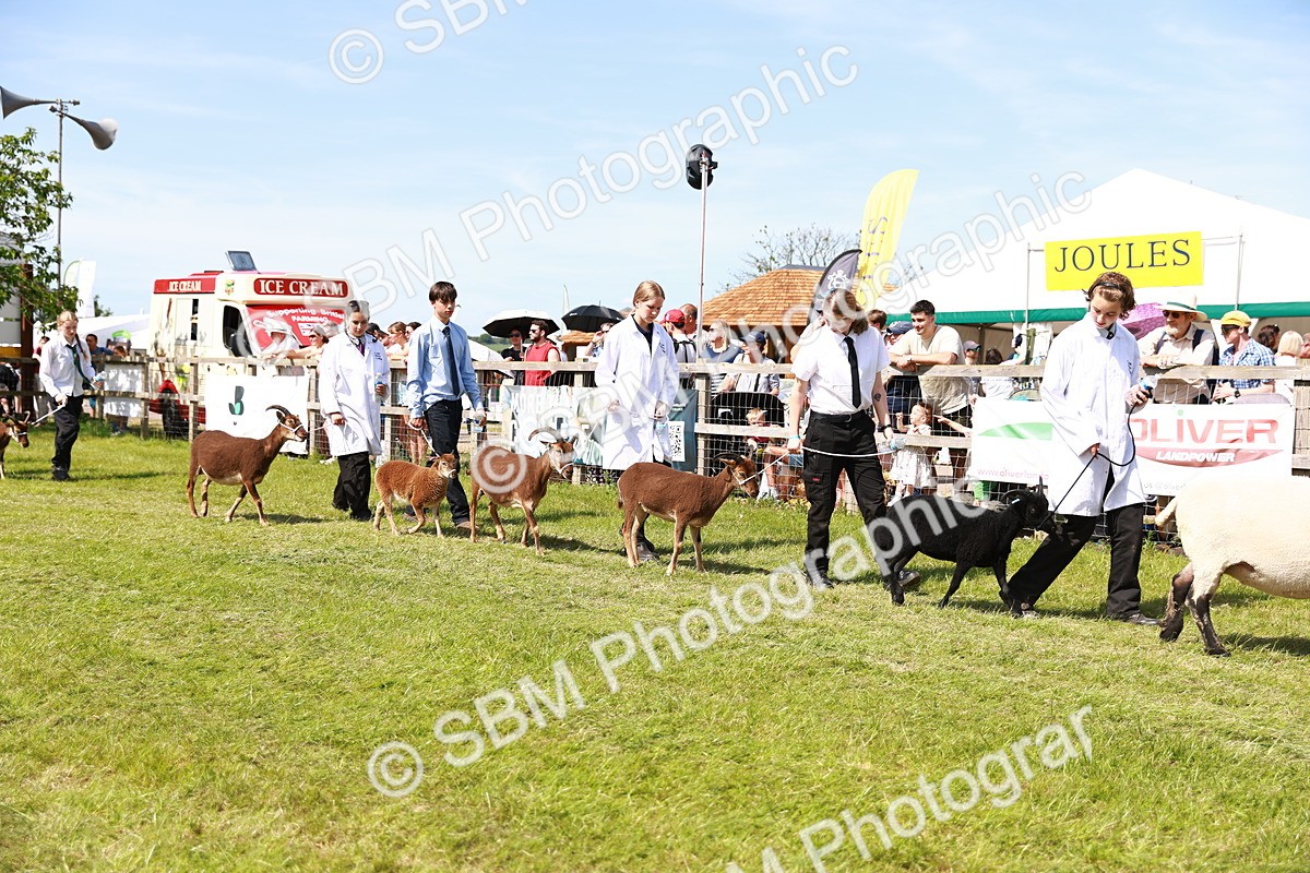 SBM_08310 - Grand Parade