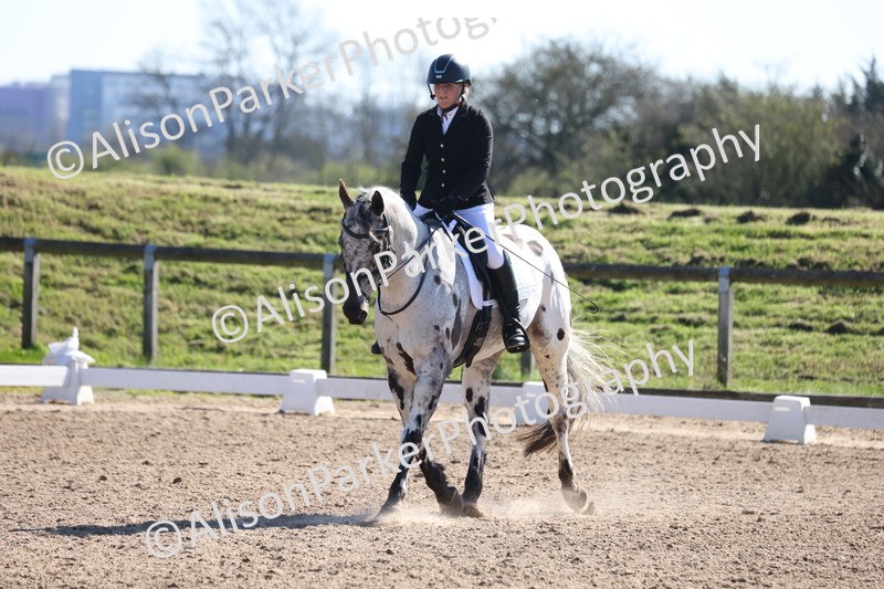 20260318-0463 - Class 5 - Novice 2