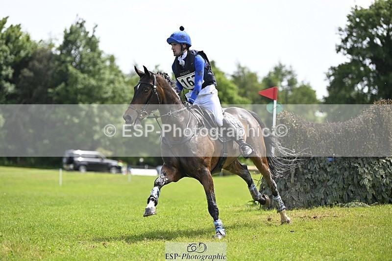 240525-141128-14883 - 162-HAZZLE_DAZZLE-Henry_Hobby
