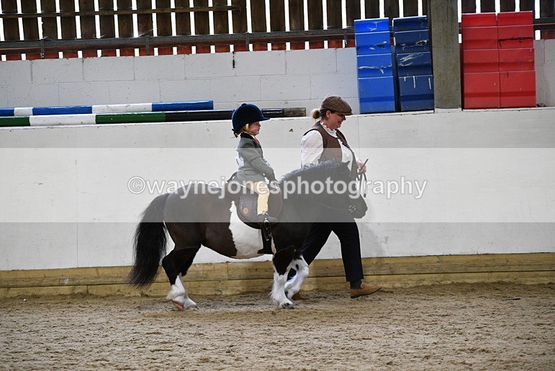 WJ5_6582 - Class 10 Childs Pony