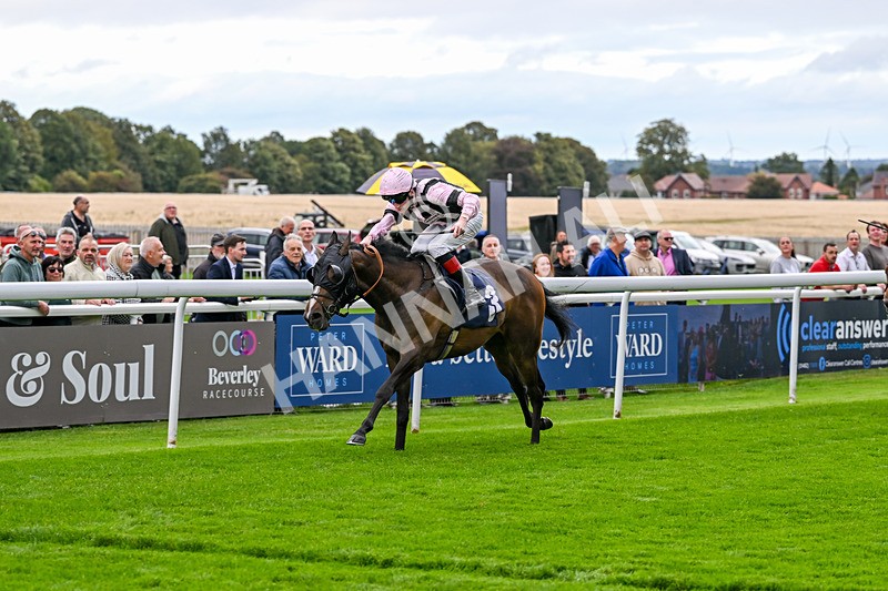 170925-Race 1-Quantum Power-3744 - Race 1