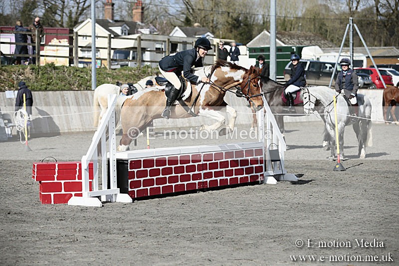 BVRC SJ 170319 305 - Bourne Valley Riding Club Showjumping 17/03/19