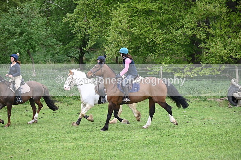 WJ6_3117 - A camera