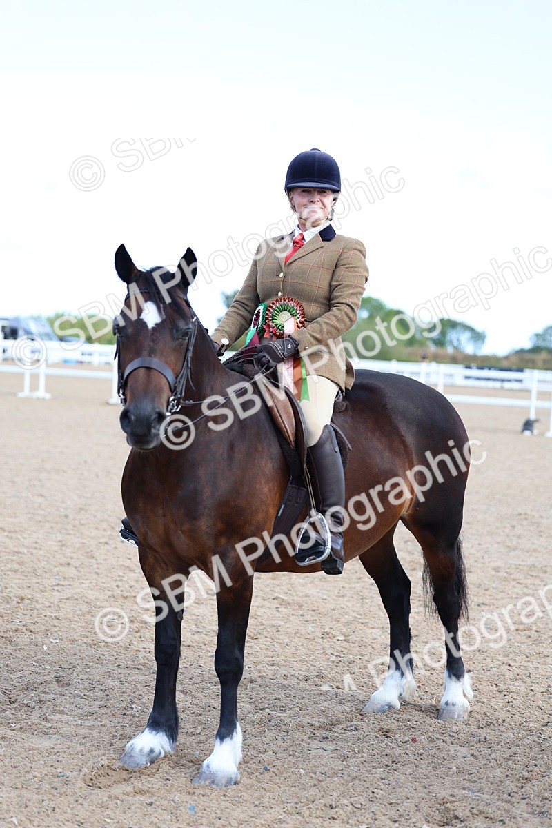 SBM_08976 - Class 302 - Ridden M&M - Large Breeds