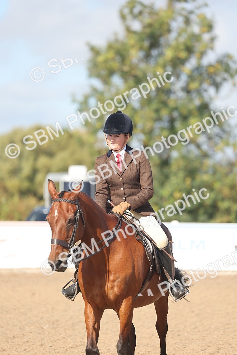 SBM_22622 - Class 804 - Ridden Veteran Pony
