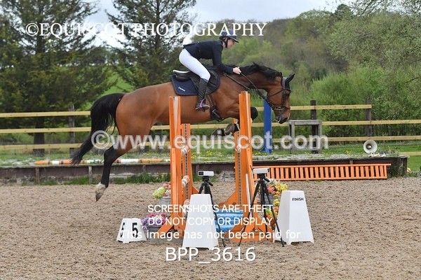 BPP_3616 - CLASS 19 SUN Senior 1.15m Open