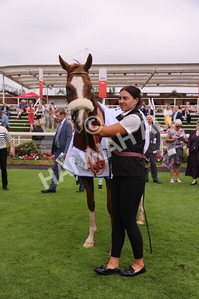 yr23072022r2-77 - Race 2 2.40pm Sky Bet Dash