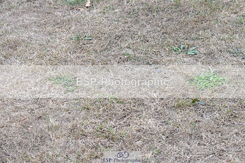 250820A-181200-12599 - Wednesday Presentations