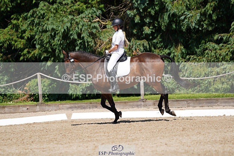 240719-151350-02562 - 129-Julie_Wheeler-Be_My_Scout