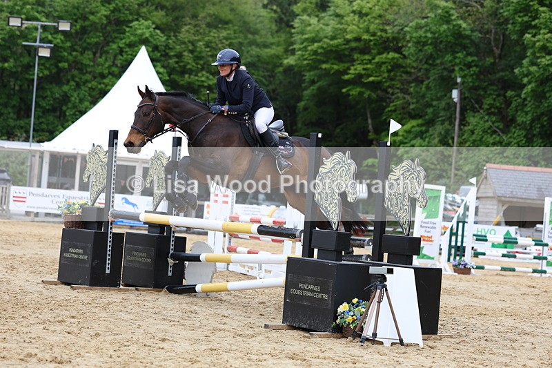 3E7A6465 - Class 4: Senior British Novice/90cm open