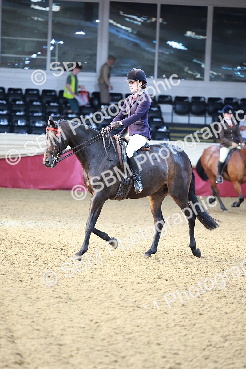 SBM_11844 - Class 102 - Equitation (Best Rider) Adult