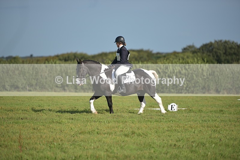 RAY_7293 - Class 2B: Trekenning Open: Dressage