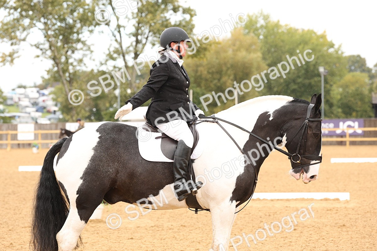 SBM_40615 - D6 - Small Tour Championship Intro 4