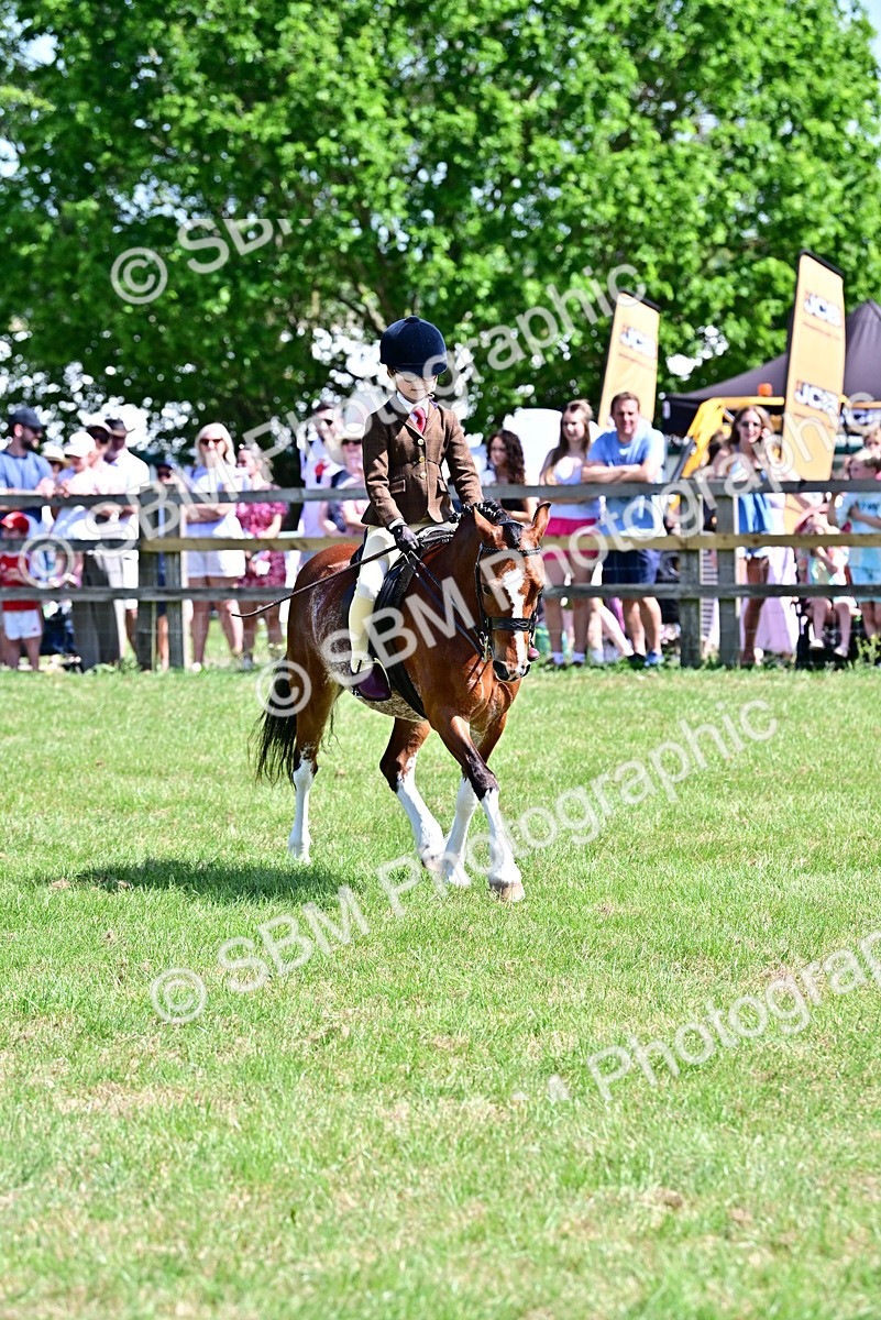 SBM_13888 - Class 95-97 - BSPS LHS Performance Ponies