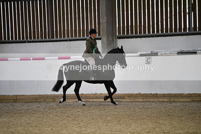 WJ5_6479 - Class 9 Ridden Veteran