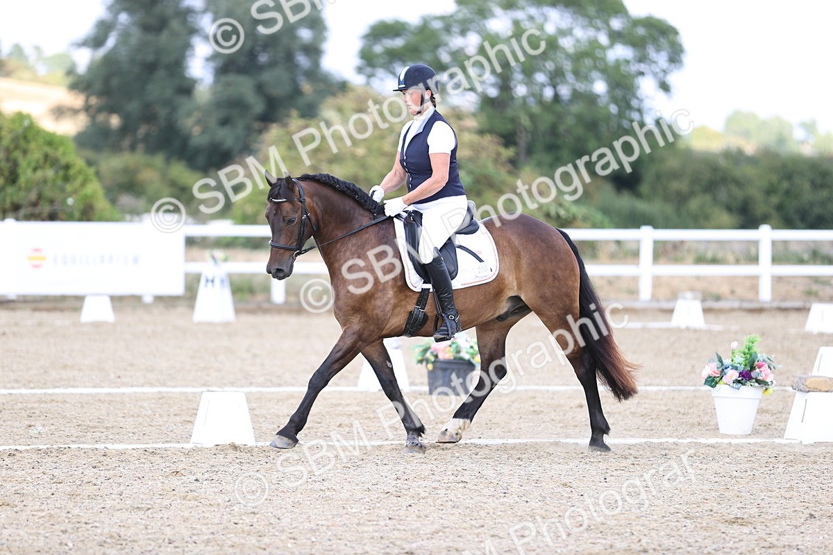 SBM_015336 - Class 5 - E5 Bronze 14.42.15.54