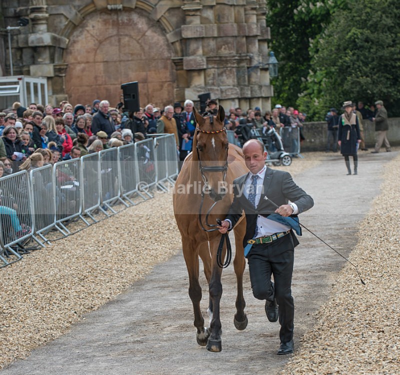 Michael Jung - Mitsubishi Motors Badminton Horse Trials.
