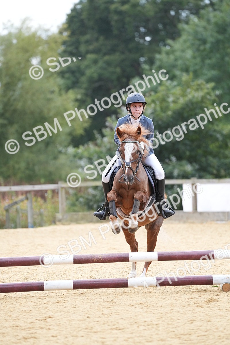 SBM_74833 - J4 - Mini Tour Junior Pony 45cm Championship