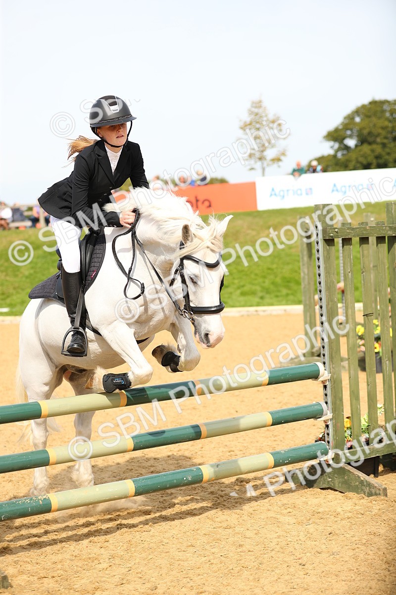 SBM_67276 - J17 - Junior Pony 80cm Championship