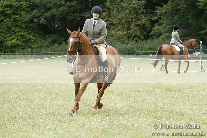 BVR160717-1716 - Ring 3 BVRC Show 16/07/17