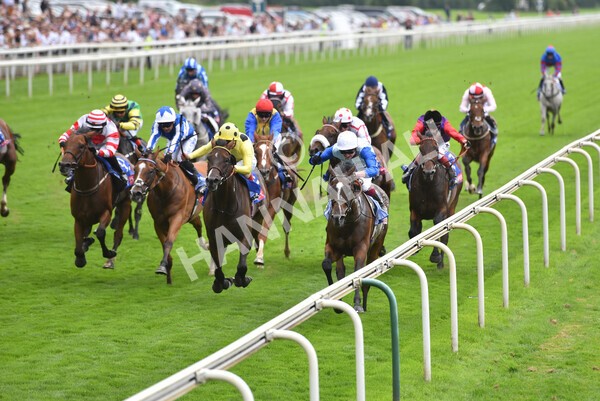 yr20082021r1-29 - Race 1 1.50pm Sky Bet Stakes