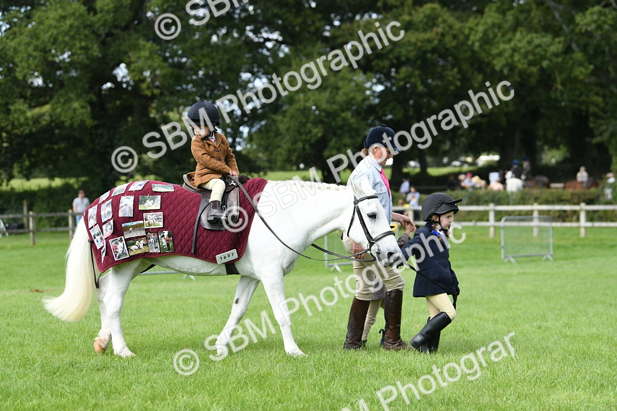 SBM_46781 - S12 - Family Horse & Pony