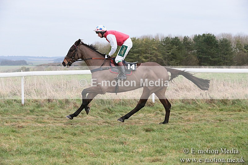 PtP 060119 215 - Larkhill Racing Club - Point-to-Point- 06/01/2019
