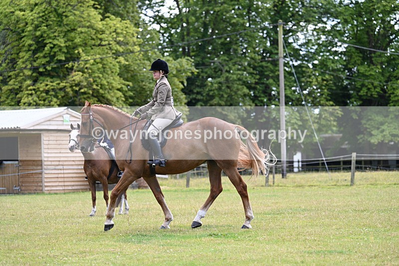 WJ7_9277 - Class 8 Ridden Veterans
