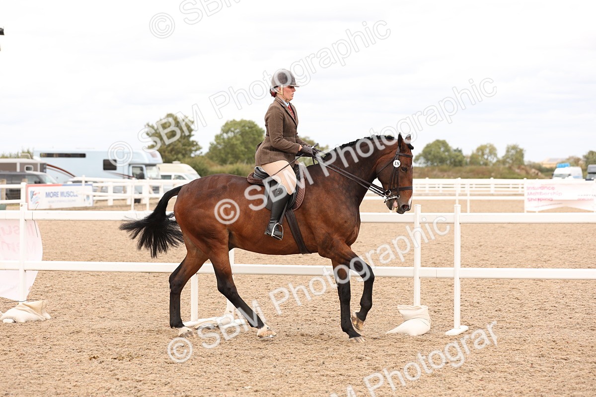 SBM_17207 - Class 213 - Ridden Hunter - Large