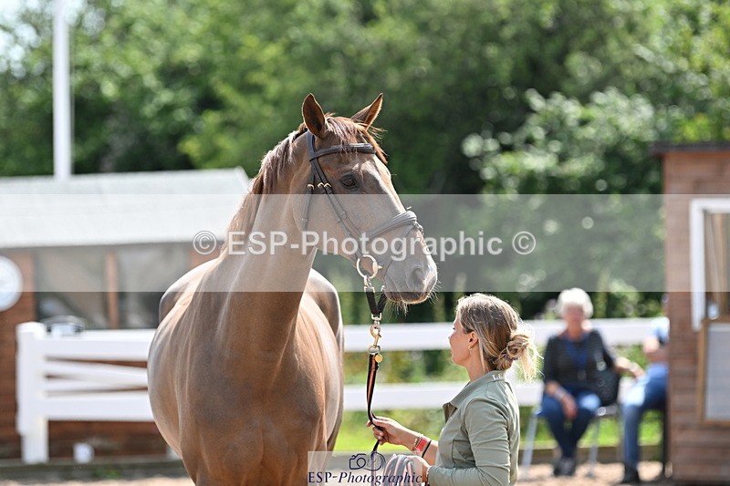 240717A-151048-02616 - Trot Up 3pm to 4pm