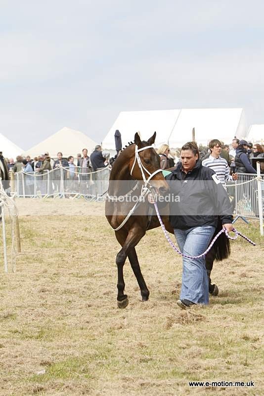  GRD 030510 25 - Guernsey Race Day 03/05/10