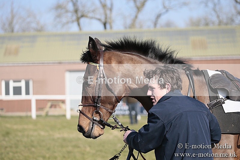 PtP 240218 308 - Vine & Craven Hunt Point-to-Point Barbury racecourse 24/02/18