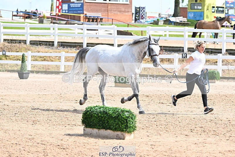 240717A-153119-02863 - Trot Up 3pm to 4pm