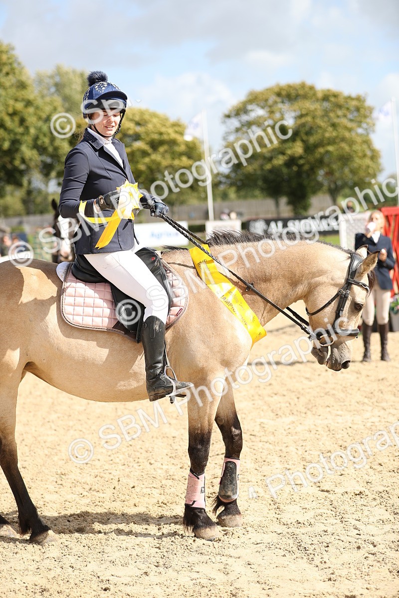 SBM_06519 - J29 - Senior Horse & Pony 65cm Championship