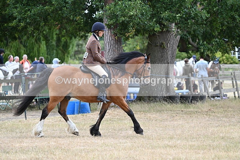 WJ7_0508 - Class 6 Ridden Mountain and Moorland