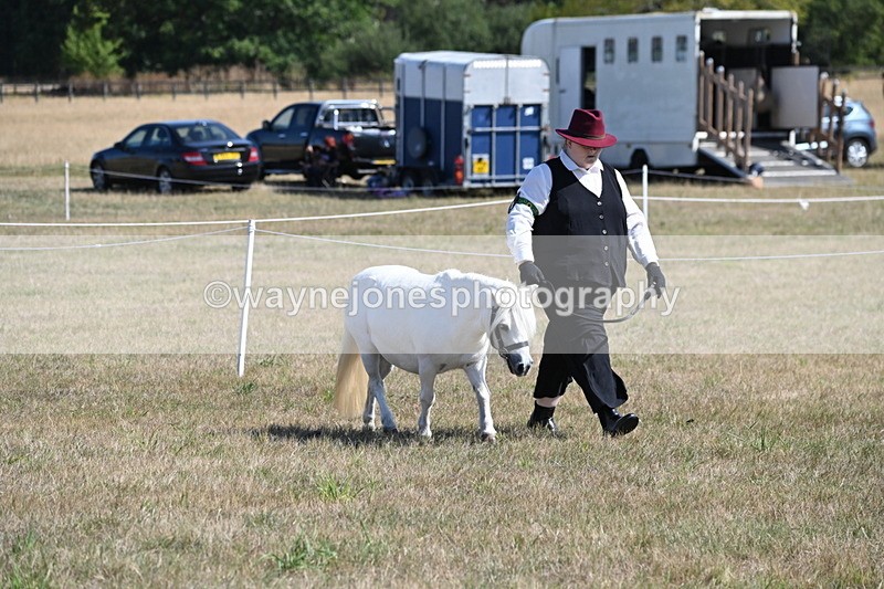 WJ6_4598 - Class 17 Mountain & Moorland