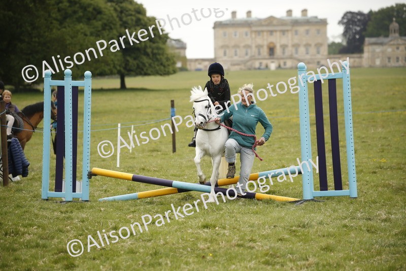 20250517-0280 - Class 1 - 30cm On Lead Rein