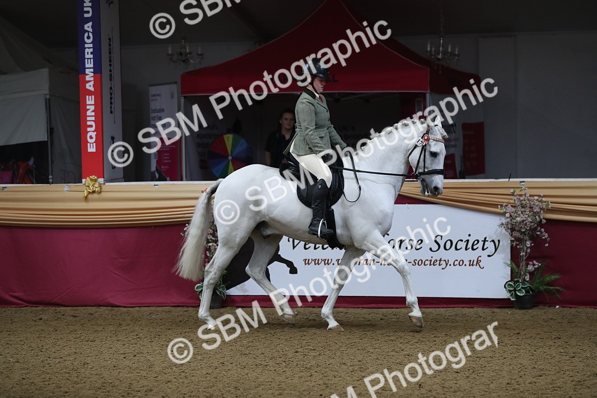 SBM_10328 - Class 102 Equitation (best rider) Adult