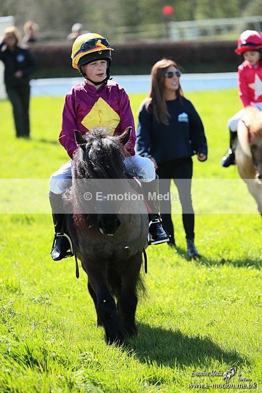 Shet 060426 225 - Shetland Pony Racing Paxford Races Easter Mon 06/04/26