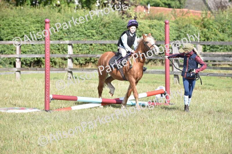 20250831-0364 - Class 6 - Minimus Jumping 30cm